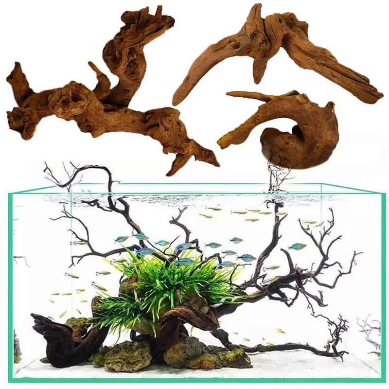 Aquarium Plant Guide - 売れ筋商品 新品 魚タンク装飾 水槽レイアウト 天然沈木 天然不規則流木