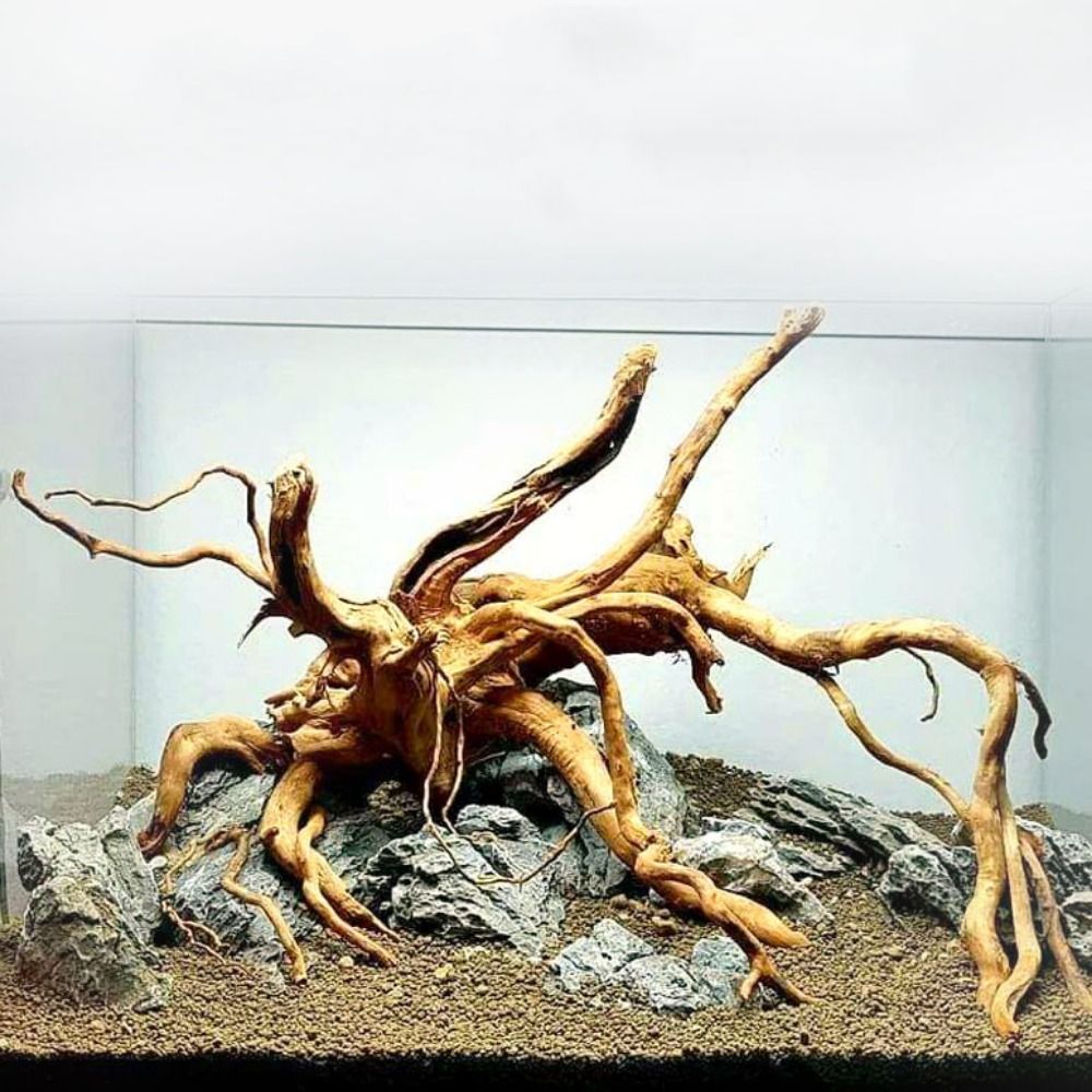Planted Aquarium Media - 天然木のトランクの装飾水族館の装飾流木の枝造園の装飾品水槽の装飾用品
