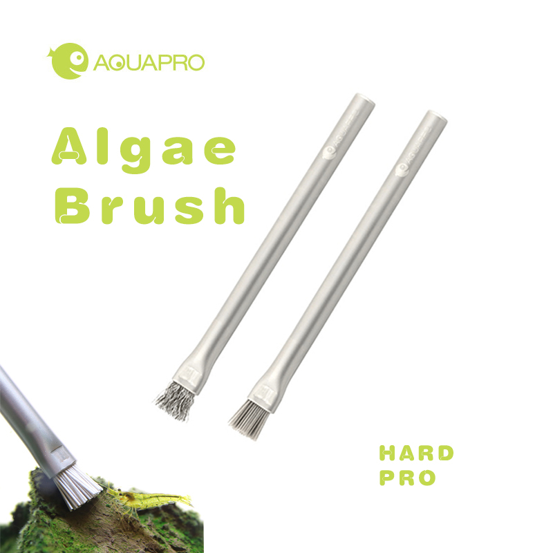 Planted Aquarium Products - ステンレス鋼の歯ブラシクリーニングブラシ,水族館のクリーニングアクセサリー,ソルトとフレッシュウォータープラント