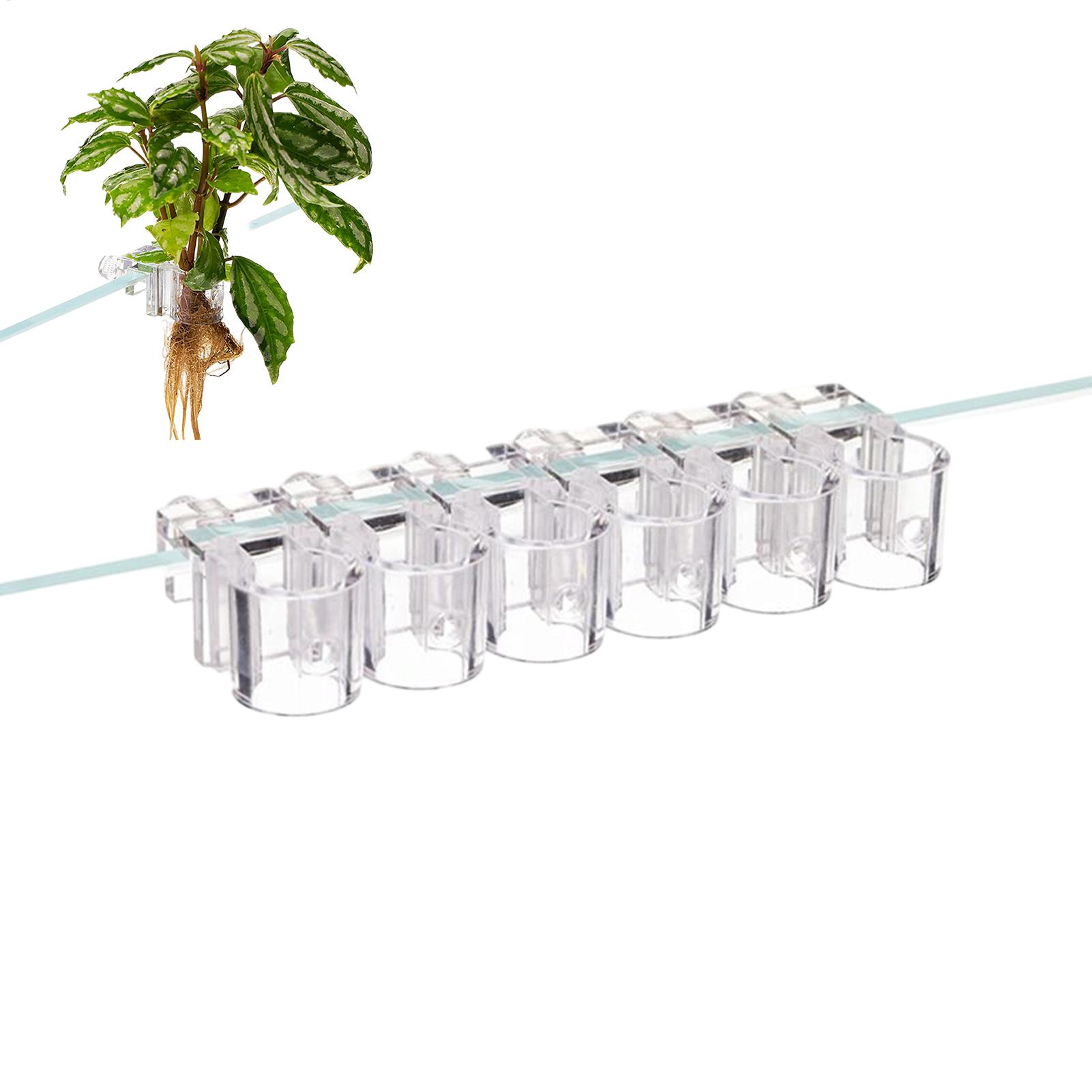 Planted Aquarium Mini - ミニ水槽プランターポット 6 個水族館植物ホルダーサポートカップ水族館フィーダー水槽用家庭用植栽栽培装飾