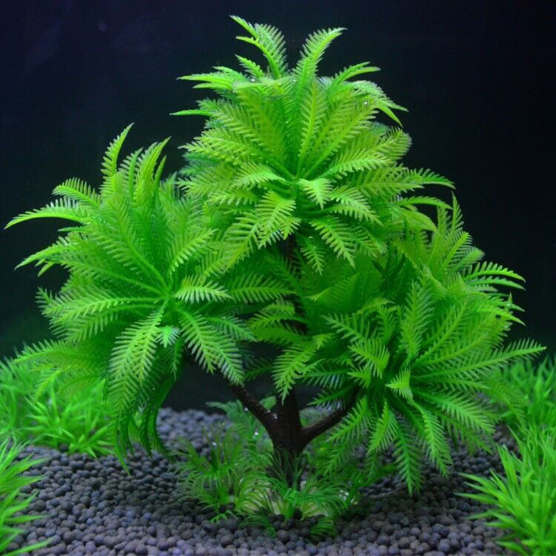 Aquarium Plant Guide - 水族館装飾シミュレーション植物水生水草水中人工葉木の植物水槽の装飾