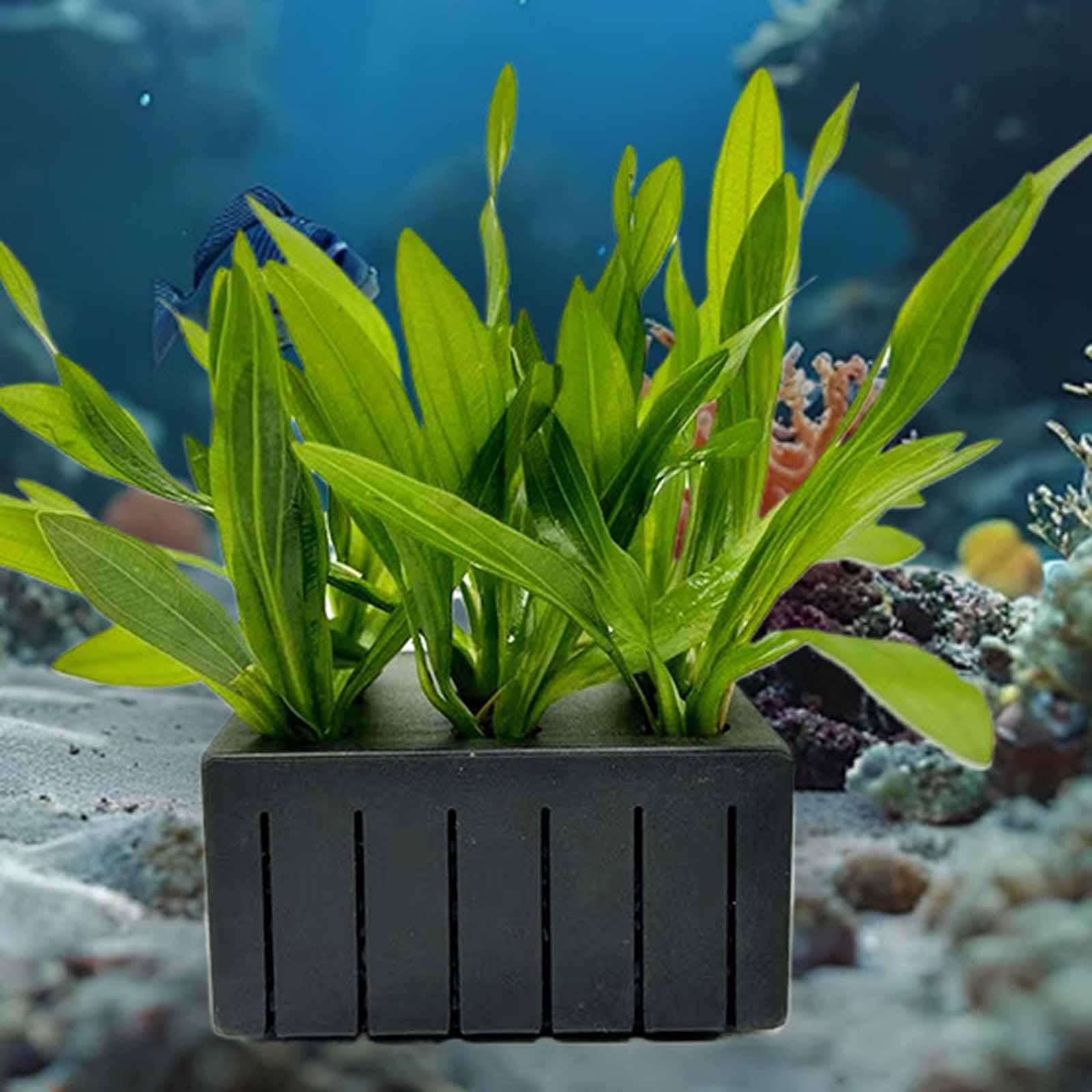 Planted Aquarium Mini - 水槽用植物バスケット PPプラスチック 水耕栽培ホルダー 水生プランターカップ ミニ水槽 魚タンク装飾用