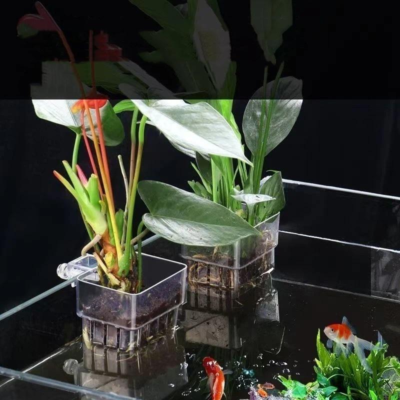 水槽用クリア吊り下げ式水耕栽培ポット 簡単設置 アクアリウム - Aquarium Plant Easy To Grow のレビューと価格