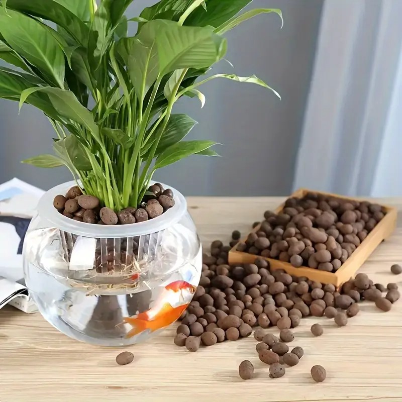 水族館の装飾、水草栽培、多肉植物、盆栽用の軽量で通気性のある - Aquarium Planting のレビューと価格