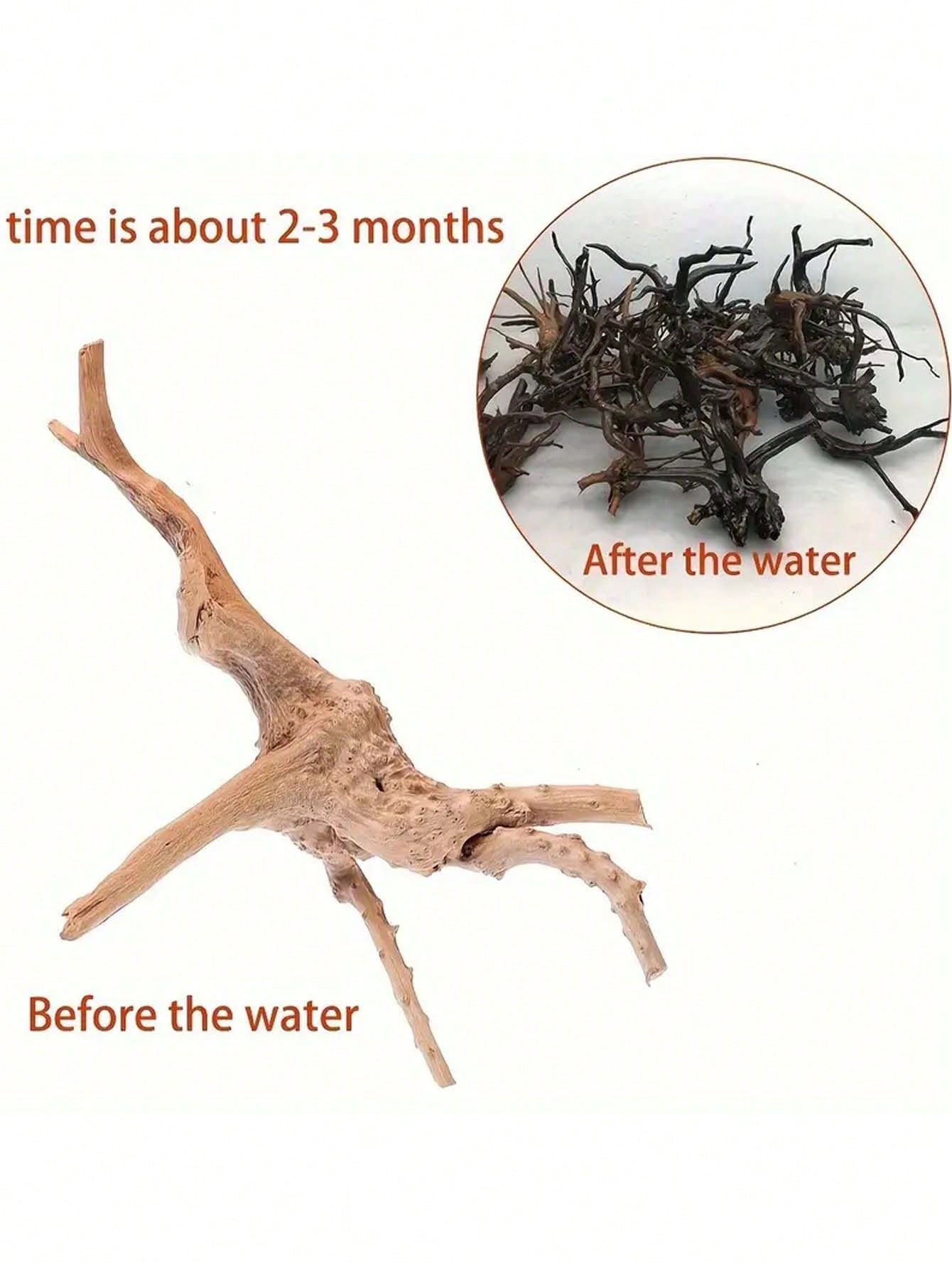5-10 センチメートル小さな天然木の幹水族館の装飾沈んだ木 - Aquarium Plant Guide のレビューと価格