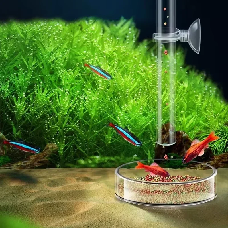 水槽用ガラス給餌チューブ＆エビ皿セット - クリスタルレッド - Planted Aquarium Youtube のレビューと価格