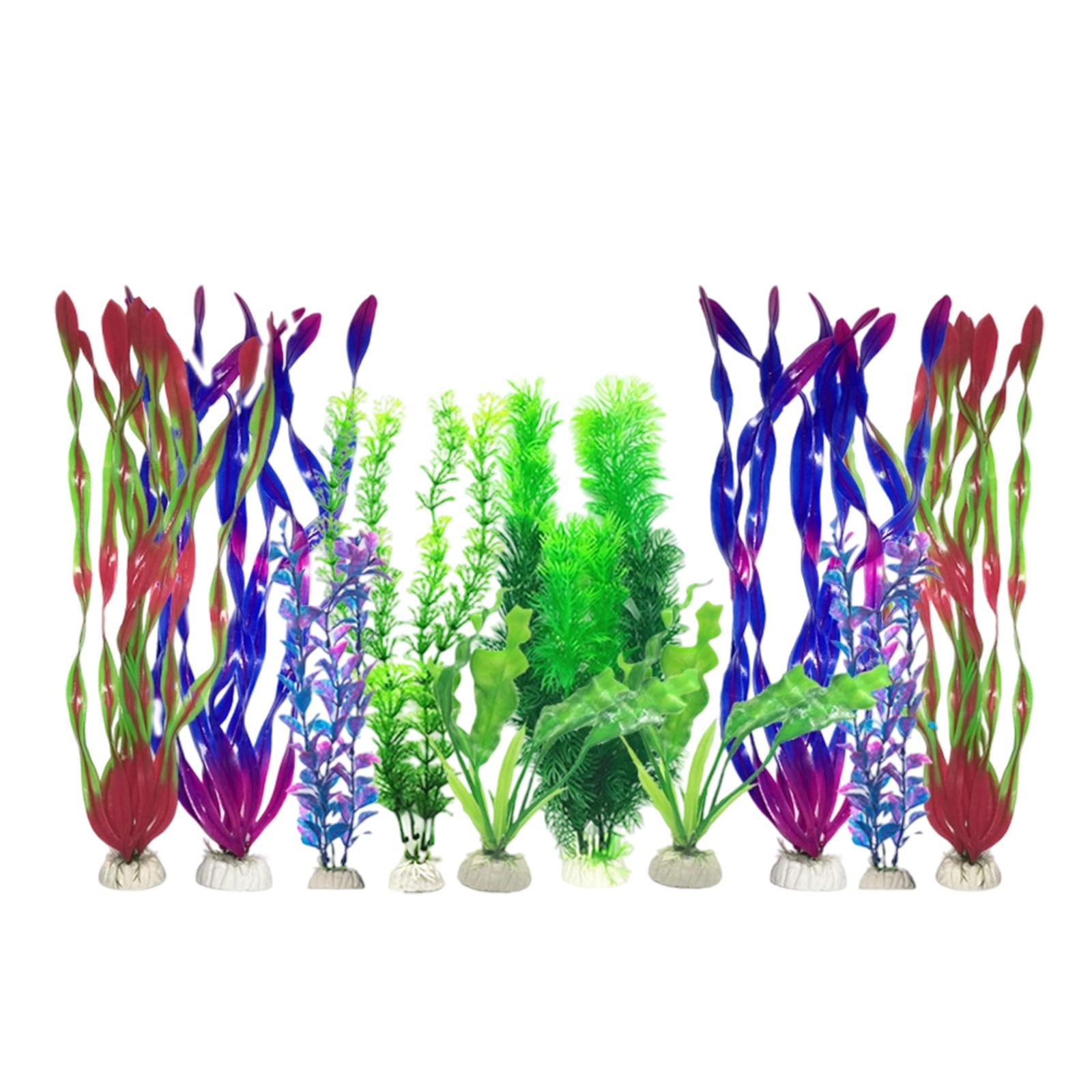 人工水槽植物セット プラスチック製水槽装飾品 リアルな装飾品 - Planted Aquarium Tank Kit のレビューと価格
