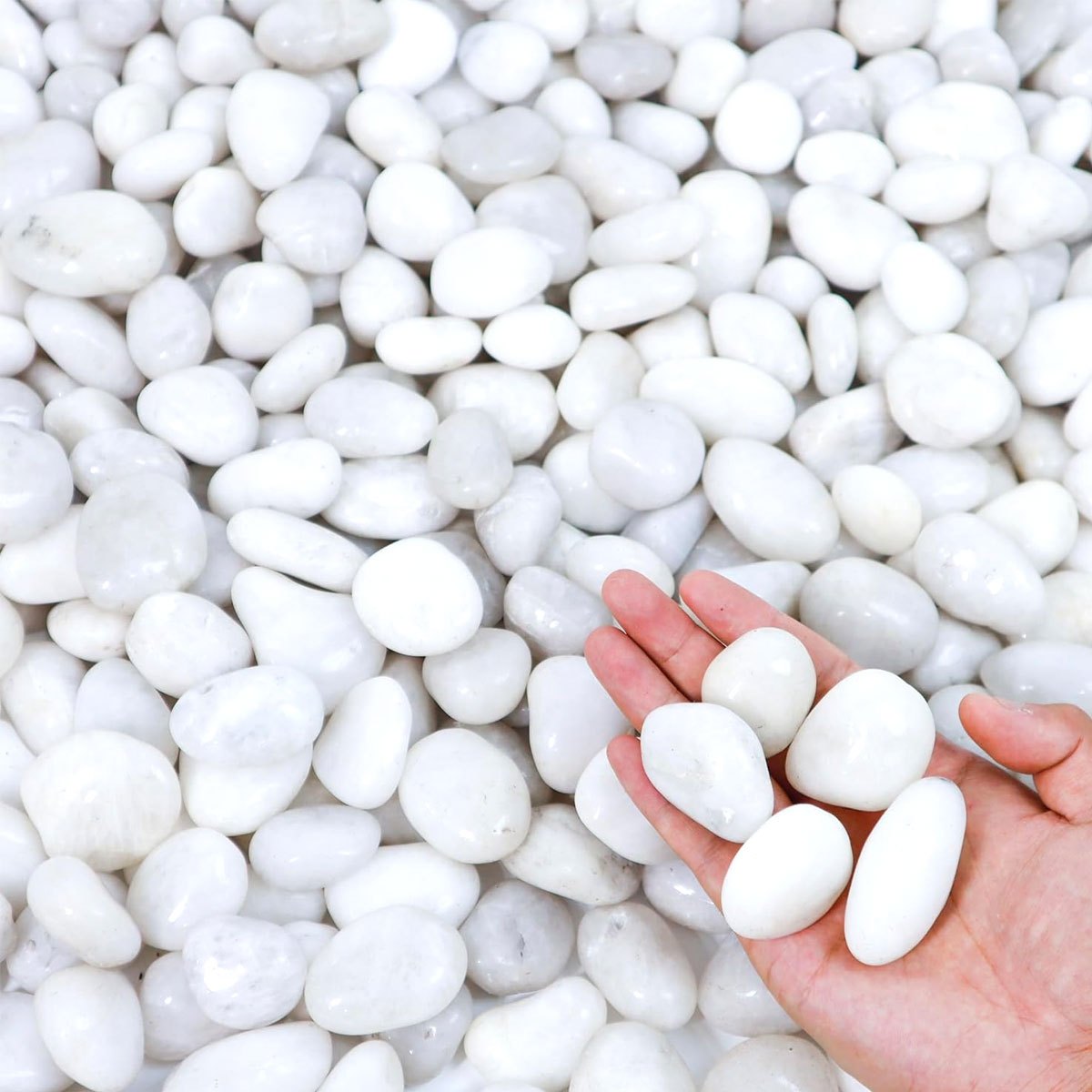 400g 白色磨き天然川石 2-3cm - 植木鉢、水槽、庭 - Aquarium Sand White のレビューと価格