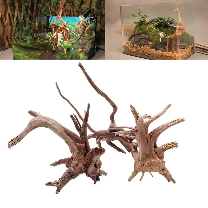 水族館、魚のタンク、爬虫類の根の植物、木の装飾、装飾アクセサ - Planted Aquarium Media のレビューと価格