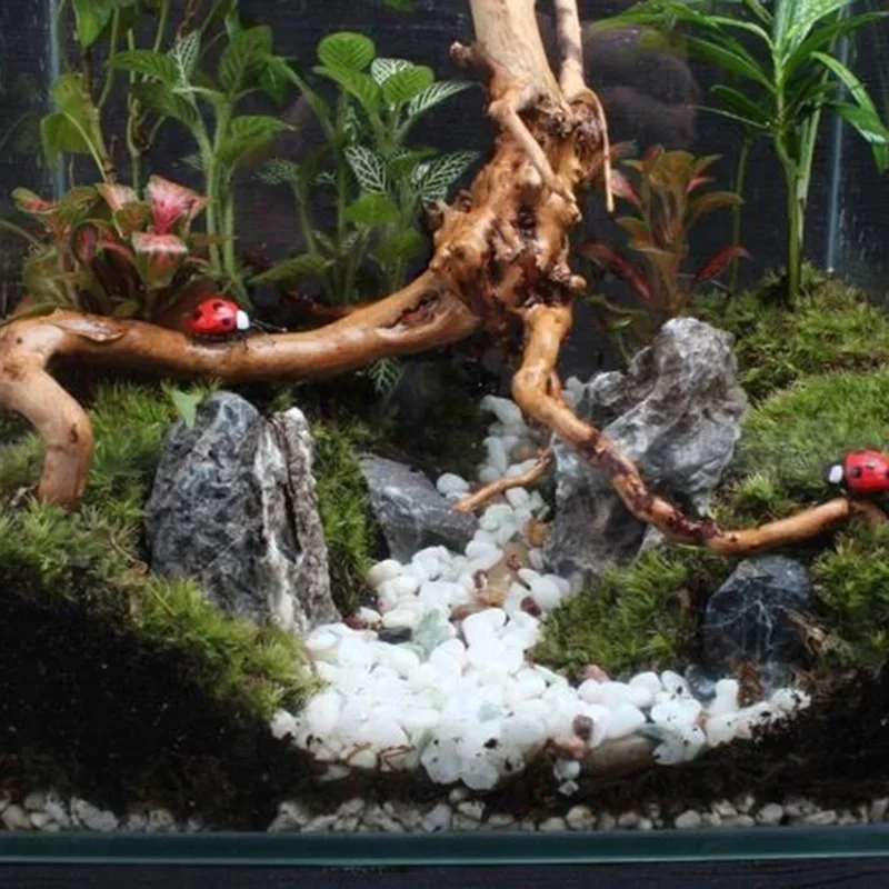 水族館、魚のタンク、爬虫類の根の植物、木の装飾、装飾アクセサ - Planted Aquarium Media のレビューと価格