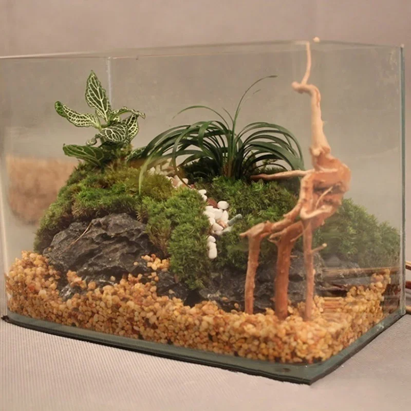 水族館、魚のタンク、爬虫類の根の植物、木の装飾、装飾アクセサ - Planted Aquarium Media のレビューと価格
