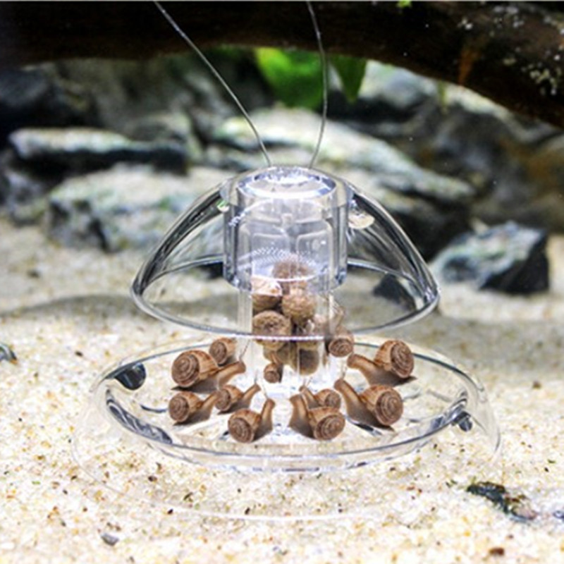 1 個水槽水族館クリーナーカタツムリトラップキャッチャー植物 - Planted Aquarium Products のレビューと価格