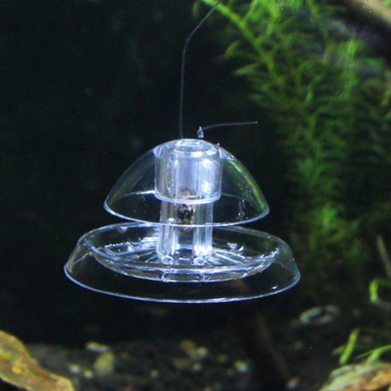 1 個水槽水族館クリーナーカタツムリトラップキャッチャー植物 - Planted Aquarium Products のレビューと価格