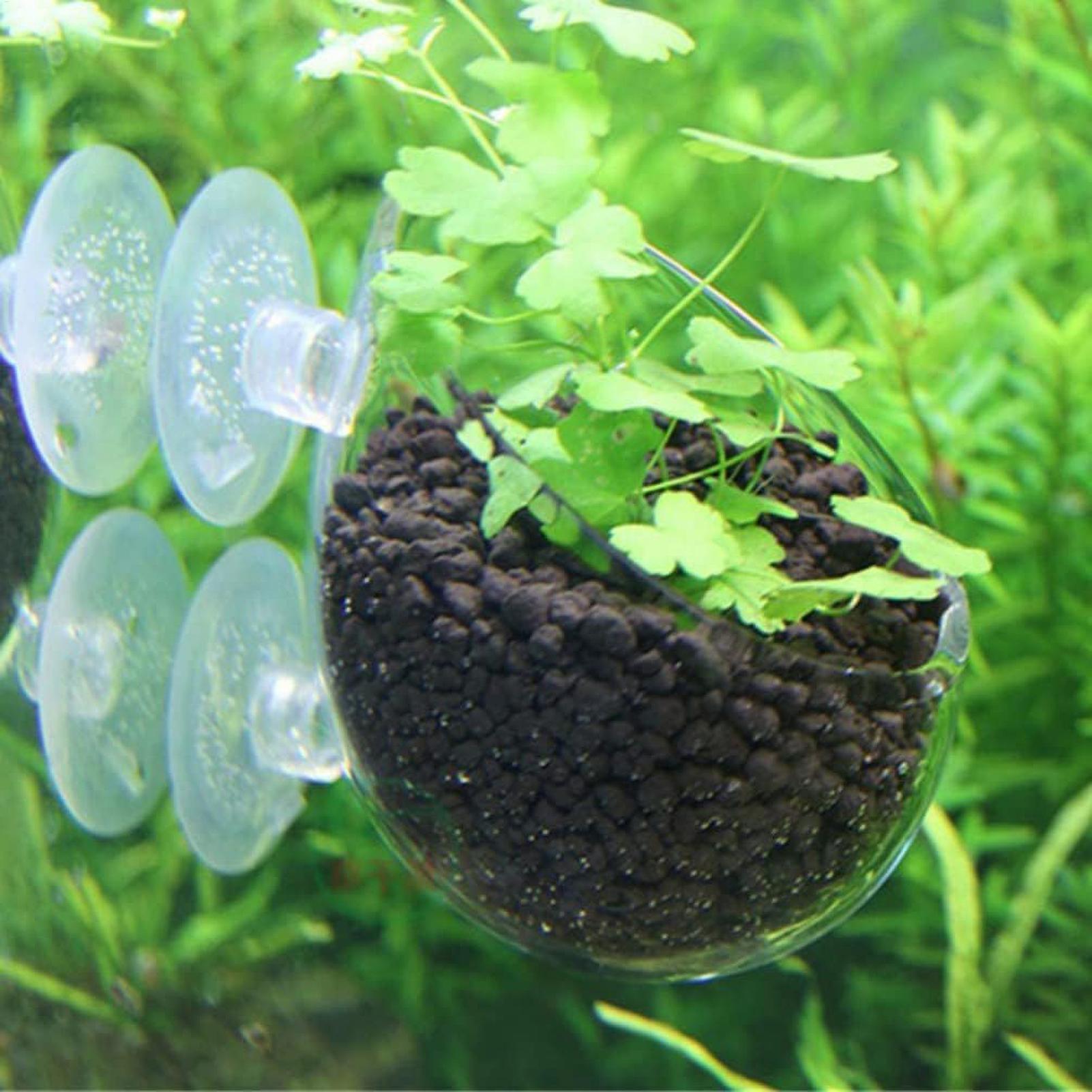水槽用植物ホルダー ガラス製水草ポット 吸盤付き 生きた植物 - Planted Aquarium Media のレビューと価格