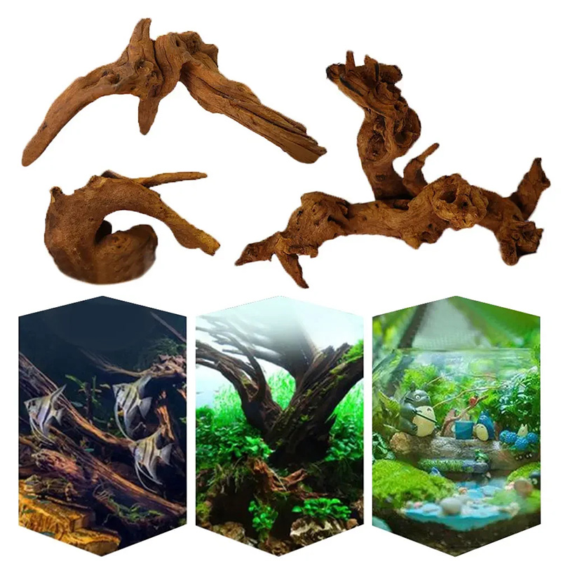 売れ筋商品 新品 魚タンク装飾 水槽レイアウト 天然沈木 天 - Aquarium Plant Guide のレビューと価格