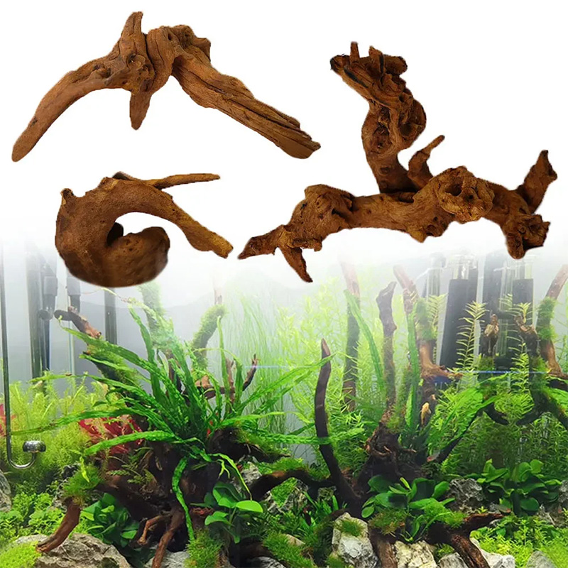 売れ筋商品 新品 魚タンク装飾 水槽レイアウト 天然沈木 天 - Aquarium Plant Guide のレビューと価格