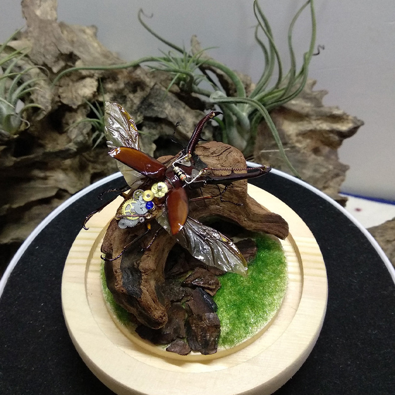 売れ筋商品 新品 魚タンク装飾 水槽レイアウト 天然沈木 天 - Aquarium Plant Guide のレビューと価格