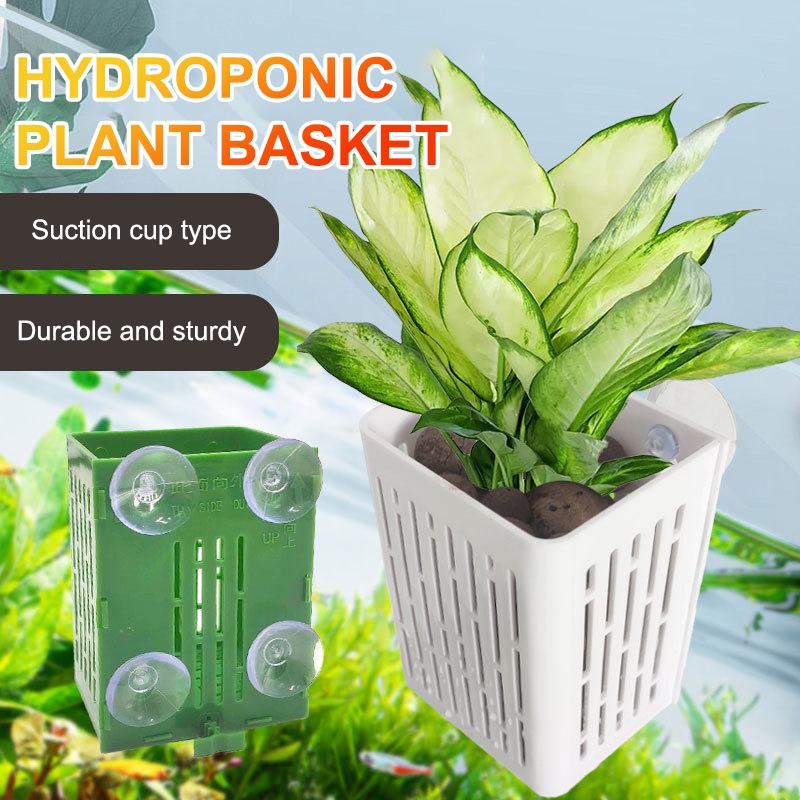 ハンギングサクションカップフック水族館植物ホルダー、プラスチ - Planted Aquarium Aquascape のレビューと価格