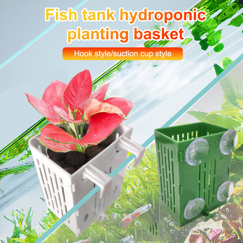 ハンギングサクションカップフック水族館植物ホルダー、プラスチ - Planted Aquarium Aquascape のレビューと価格
