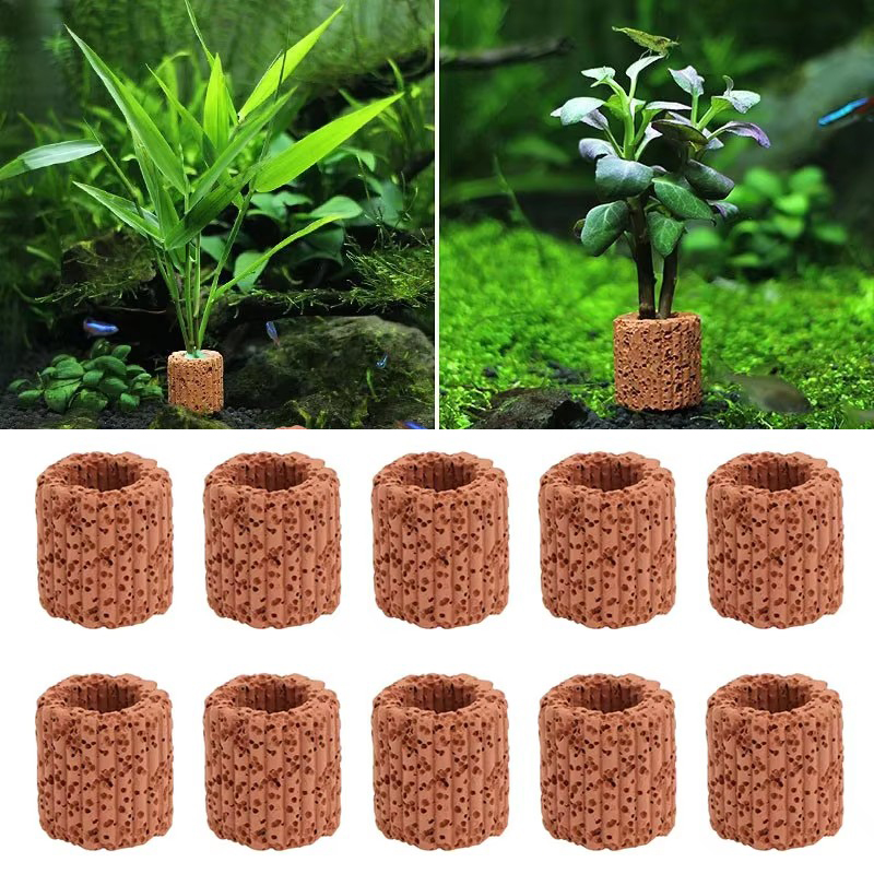 水生植物固定リング水族館風景セラミック水植物ポットリングツー - Planted Aquarium Products のレビューと価格