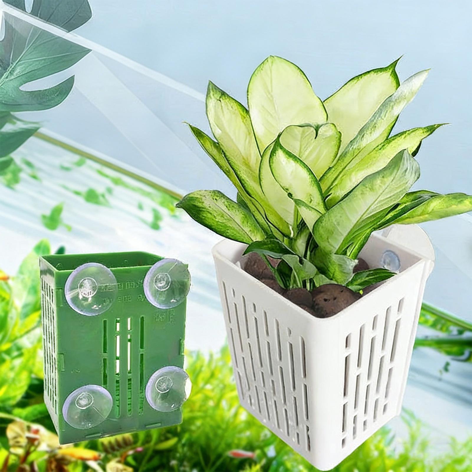 5個入り水槽用植物ホルダー、水槽用吊り下げ装飾ボックス、アク - Planted Aquarium Aquascape のレビューと価格