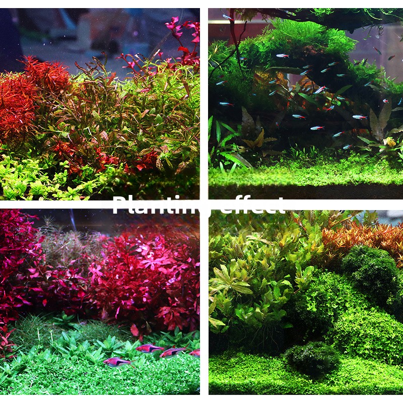 SYSENCIAGA 水草水槽用培地土壌-栄養豊富な底砂-水 - Aquarium Planted Tank Soil のレビューと価格