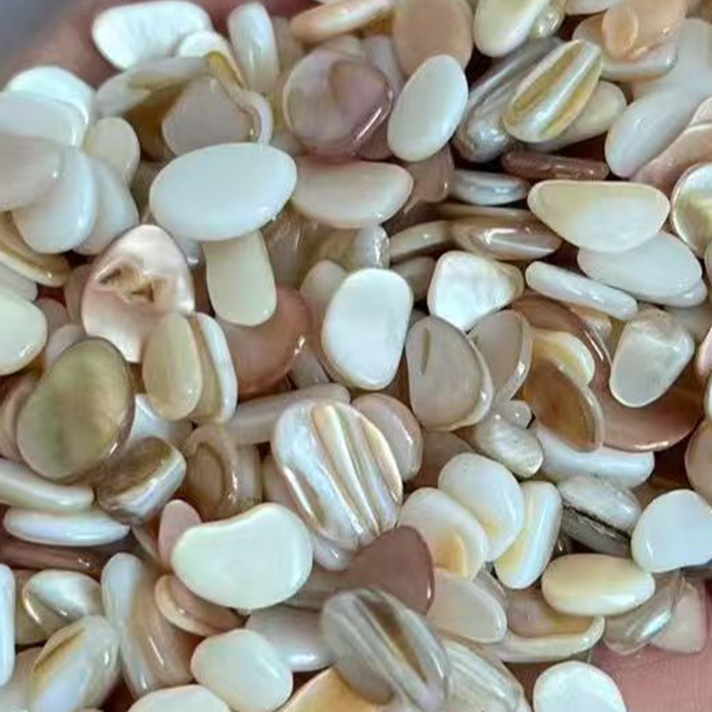 50個 4-7mm 穴なし 天然ベージュホワイト マザーオブ - Aquarium Sand White のレビューと価格