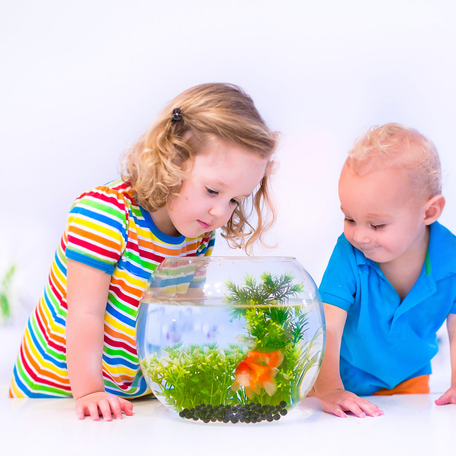 1パック水槽ガラスビーズ黒砂利タンブルストーン装飾魚タンク小 - Aquarium Planted Tank Soil のレビューと価格