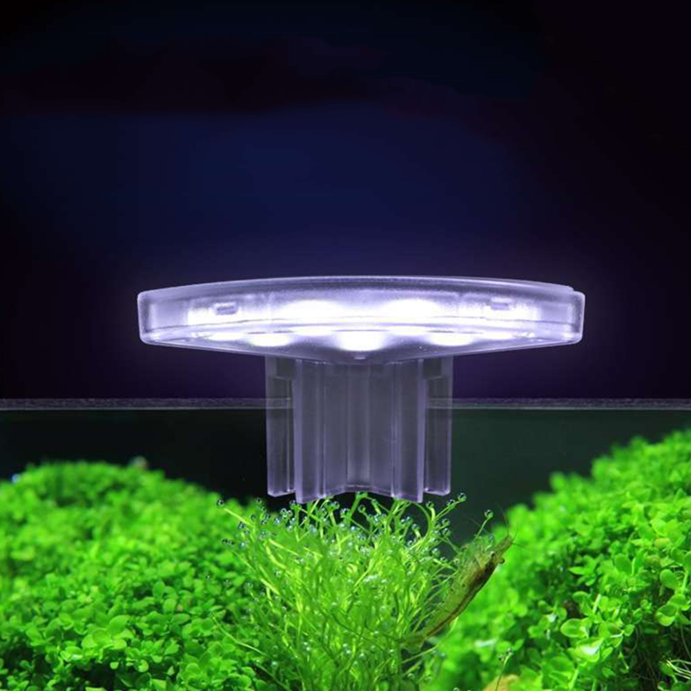 LED 植物育成ランプ エネルギー効率の高い防水育成ランプ装 - Aquarium Plant Easy To Grow のレビューと価格