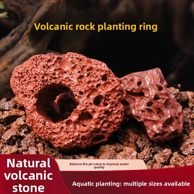 赤い溶岩石の植栽リング – カーペット状の植物用の穴あき水槽 - Planted Aquarium Carpet Plant のレビューと価格