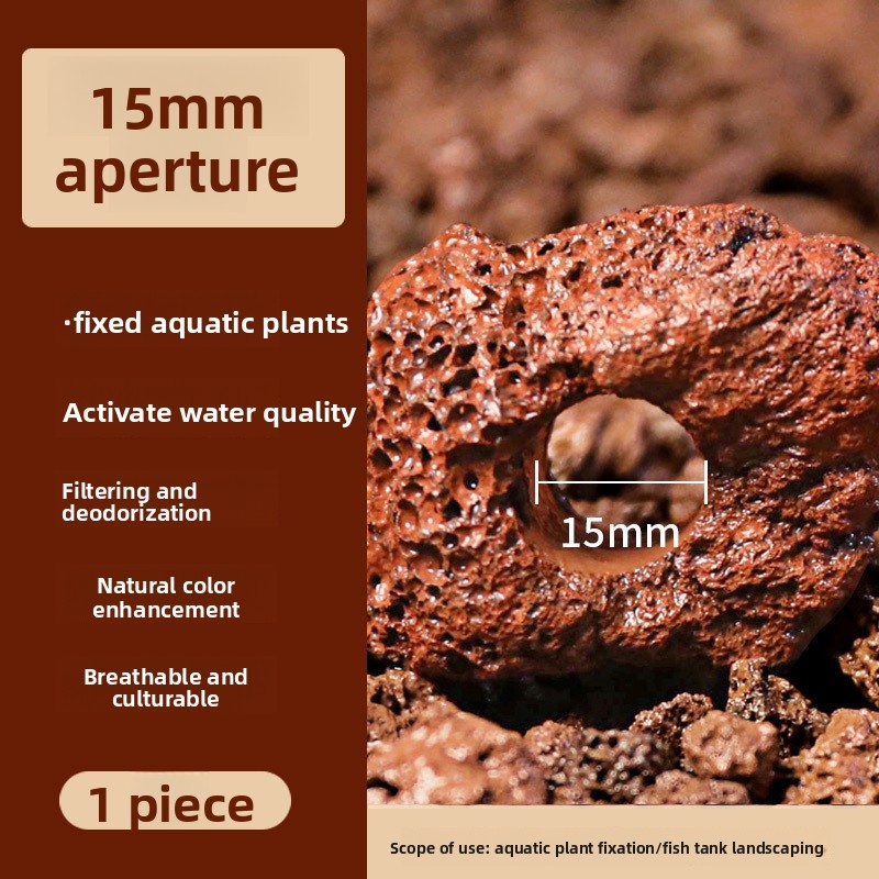 赤い溶岩石の植栽リング – カーペット状の植物用の穴あき水槽 - Planted Aquarium Carpet Plant のレビューと価格