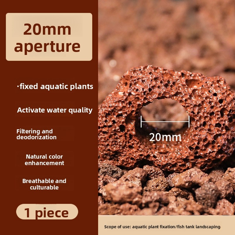 赤い溶岩石の植栽リング – カーペット状の植物用の穴あき水槽 - Planted Aquarium Carpet Plant のレビューと価格