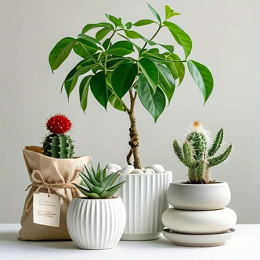 200/400g ホワイト高研磨天然玉石 2-3cm 中庭景 - Aquarium Plant のレビューと価格