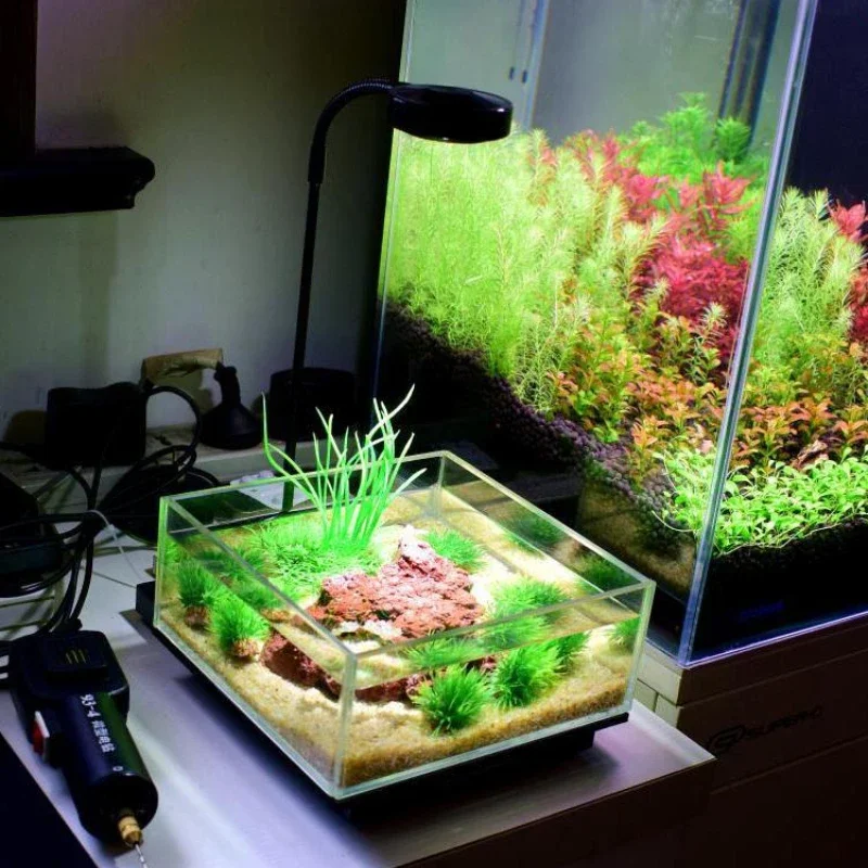 竹板付きミニLED水族館ライト、淡水植物水槽ライト、植物の成 - Planted Aquarium Mini のレビューと価格