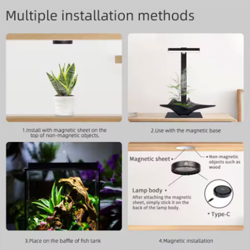 WEEK AQUA Mag Pro Mag Max Nano - Planted Aquarium Aquascape のレビューと価格
