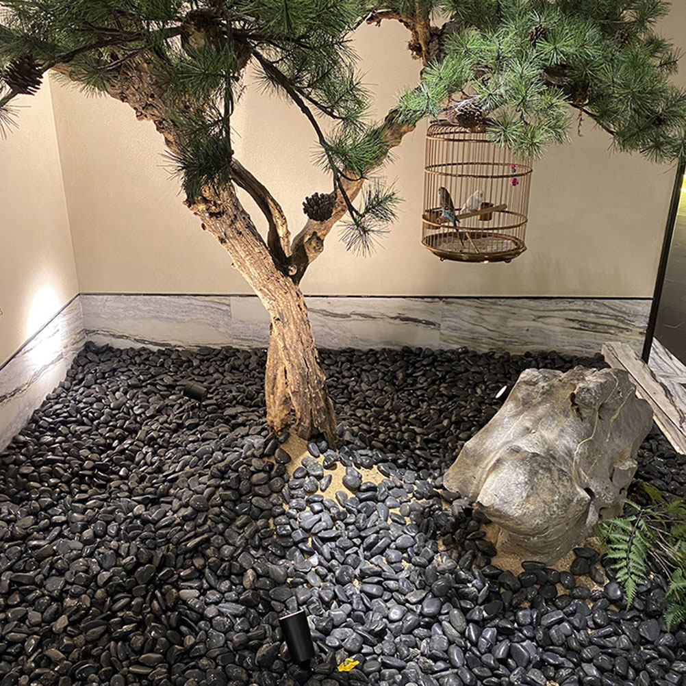 1セット 水槽用小石 天然造景石 黒色植木鉢装飾砂利 魚タン - Aquarium Plant のレビューと価格