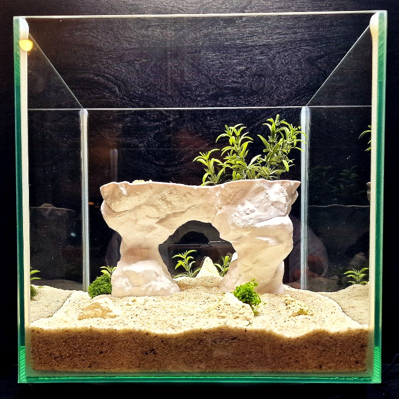3Dプリント水槽植栽バスケット 水耕栽培サポート アクアスケ - Aquarium Planted Tank Soil のレビューと価格