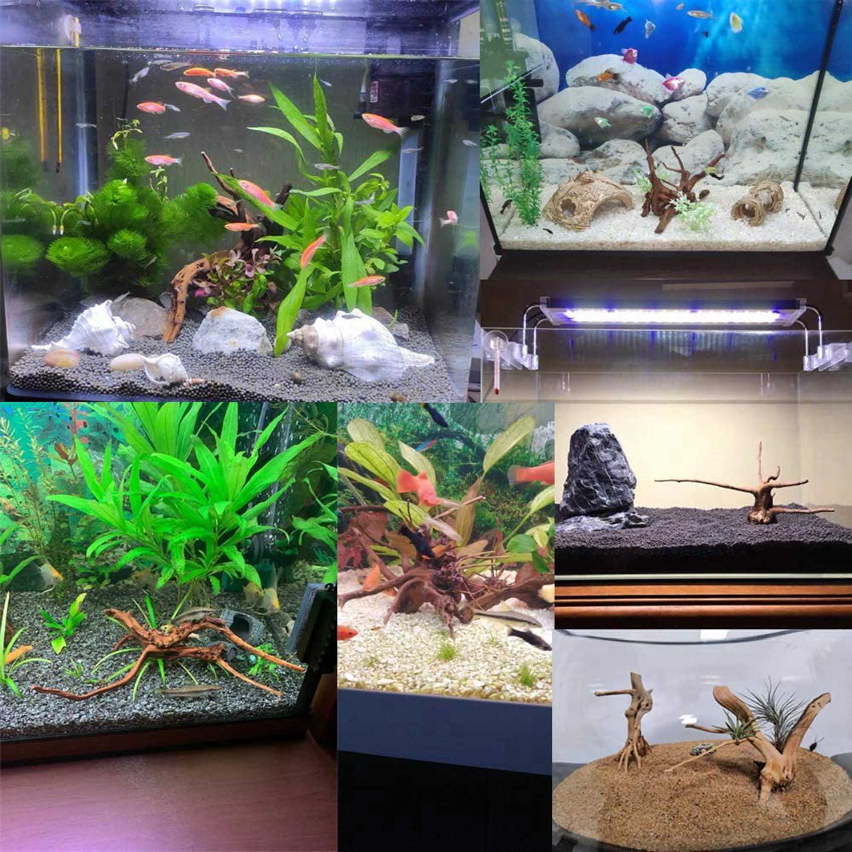激安セール-水槽用ミニ流木 天然木枝 魚タンク装飾 爬虫類用 - Aquarium Plant Guide のレビューと価格
