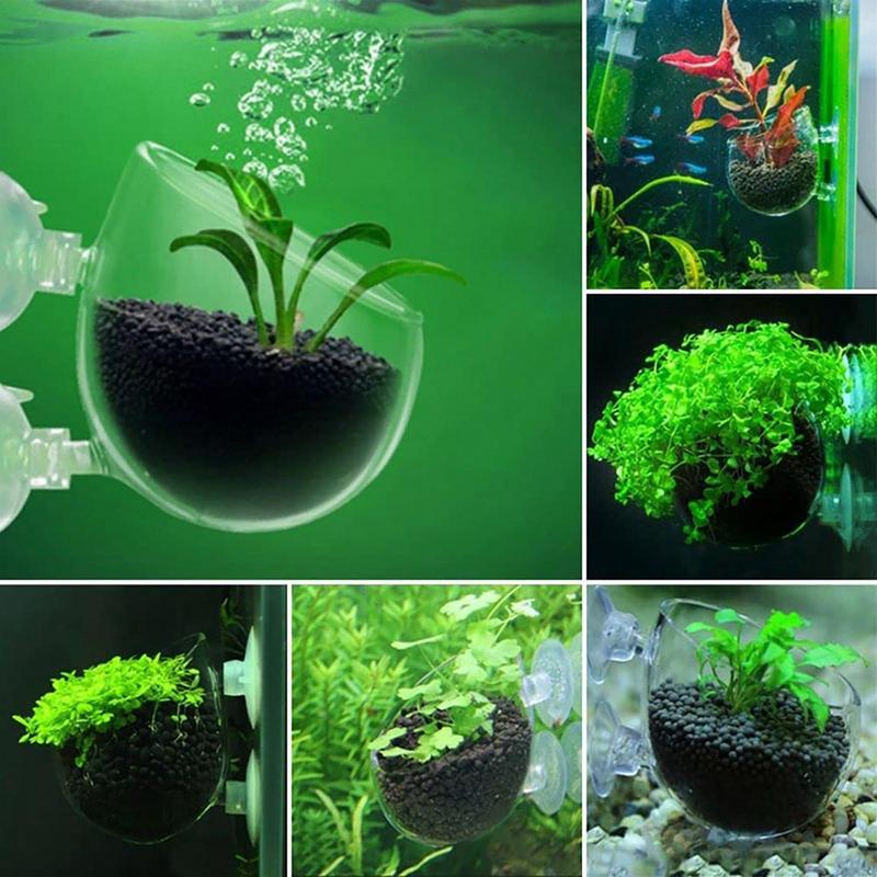 アクリル水生植物カップ水族館の水槽ガラス植木鉢吸引ホルダー給 - Aquarium Plant のレビューと価格