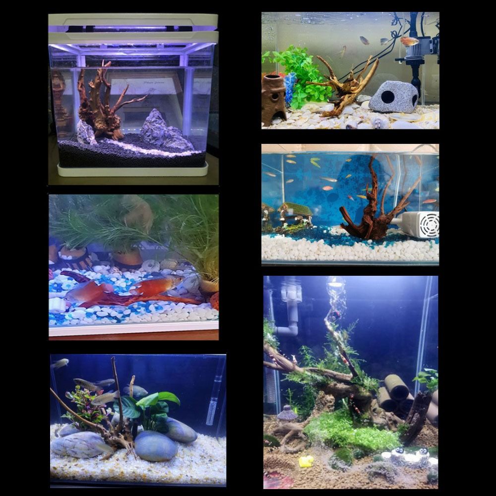 20-25CM大型水槽流木天然魚タンク植物装飾ツリーフィッシ - Planted Aquarium Media のレビューと価格
