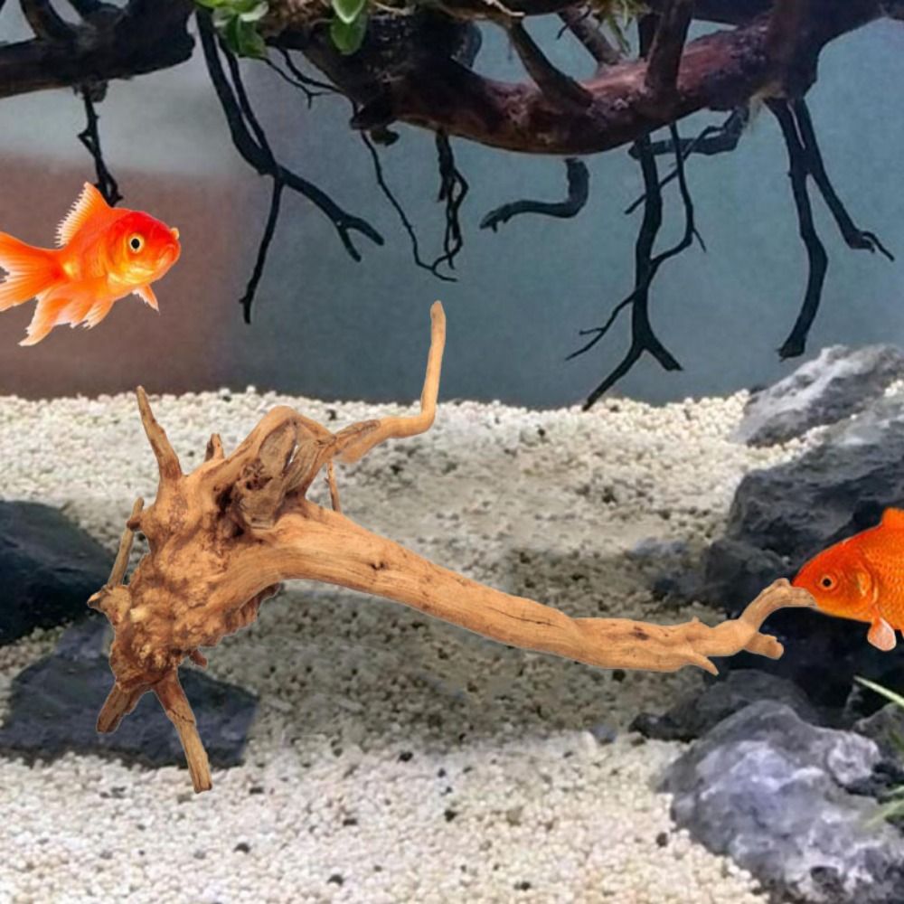 20-25CM大型水槽流木天然魚タンク植物装飾ツリーフィッシ - Planted Aquarium Media のレビューと価格