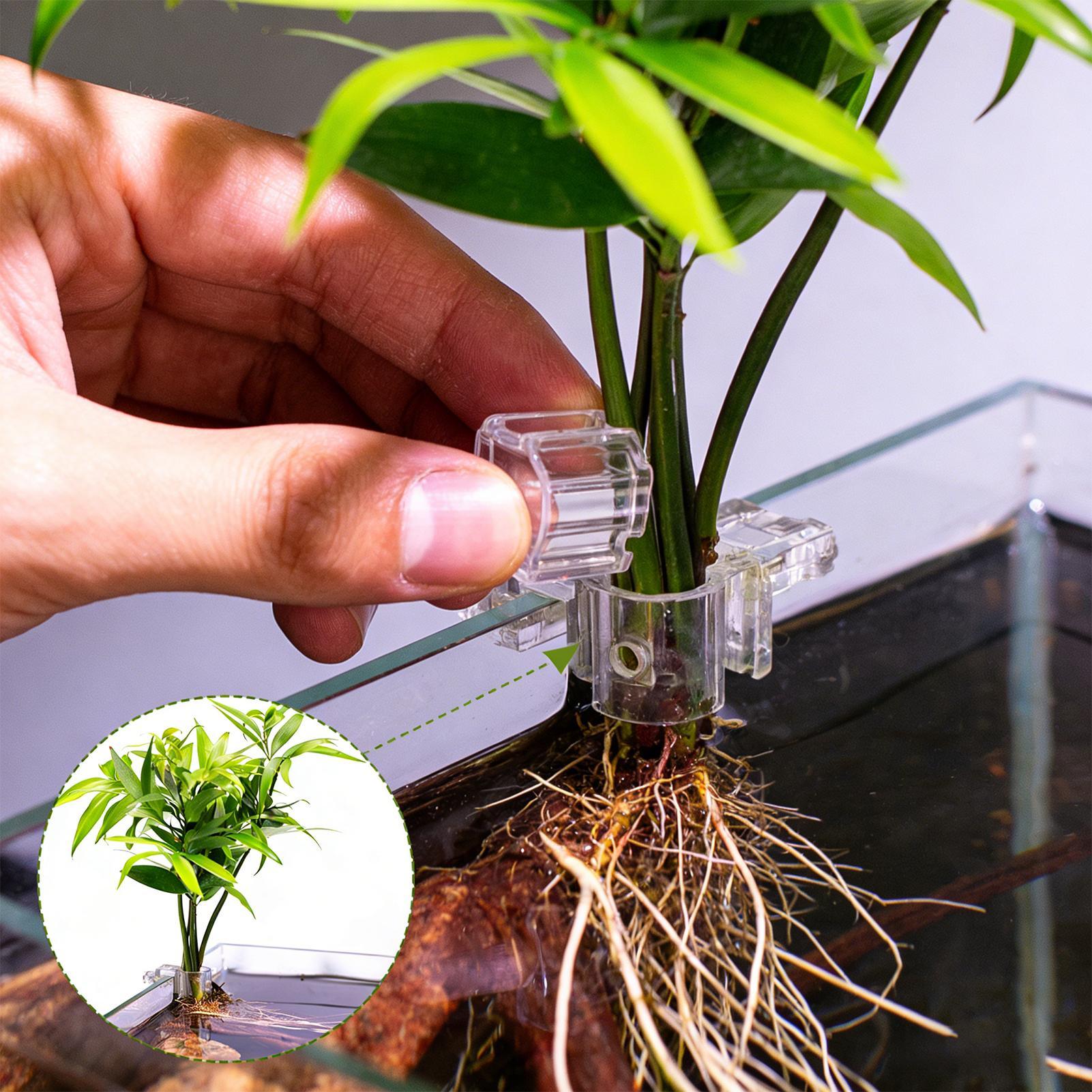 ミニ水槽プランターポット 6 個水族館植物ホルダーサポートカ - Planted Aquarium Mini のレビューと価格
