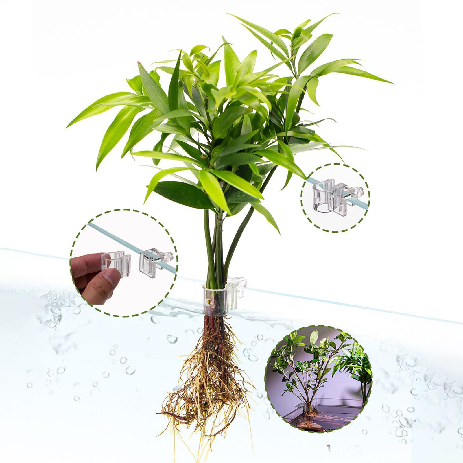 ミニ水槽プランターポット 6 個水族館植物ホルダーサポートカ - Planted Aquarium Mini のレビューと価格