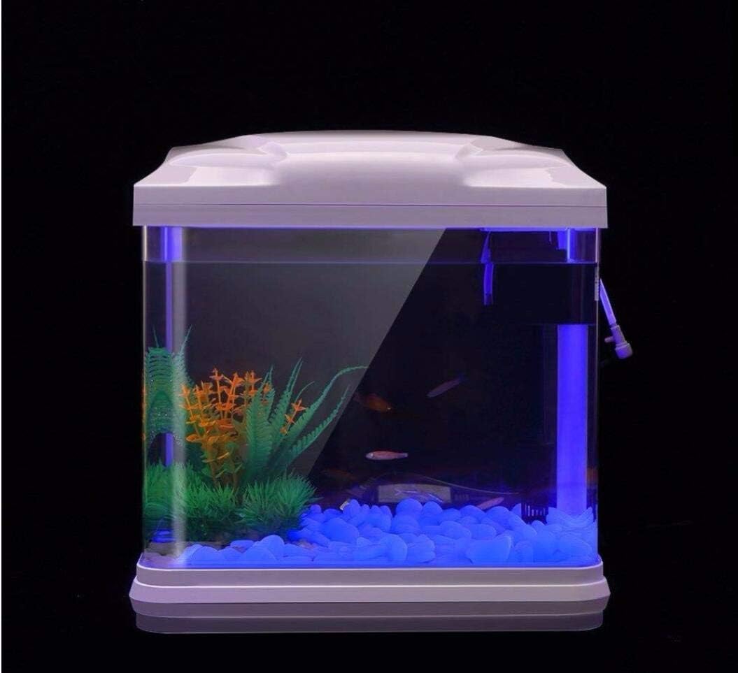 水槽岩グローブルー小石庭用水槽水族館植木鉢盆栽歩道私道 - Aquarium Plant のレビューと価格