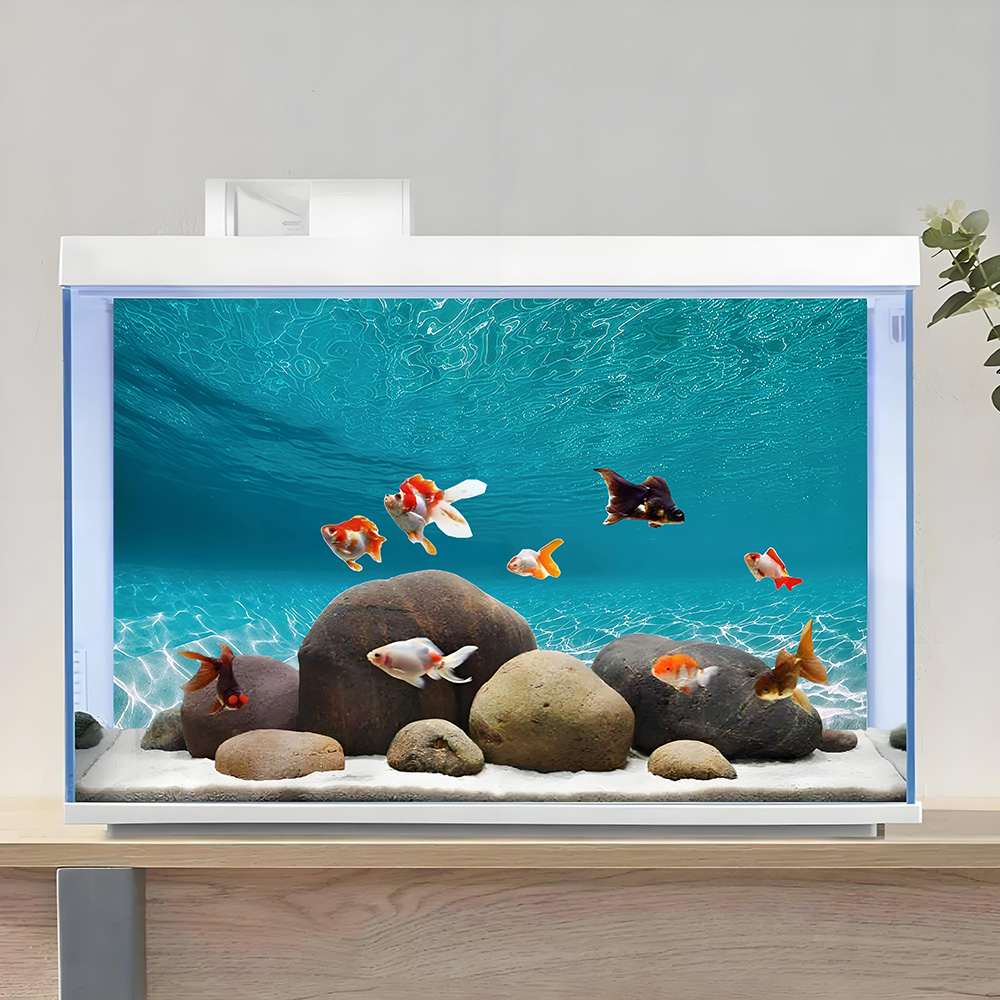 日光に照らされた白い砂、水槽背景画、水槽ステッカー、爬虫類水 - Aquarium Sand White のレビューと価格