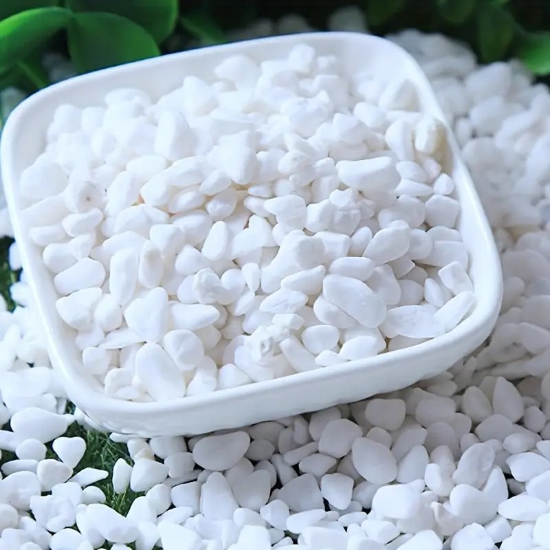 500g/1.1LB 装飾的な白い小石、水族館、天然磨かれた - Aquarium Sand White のレビューと価格