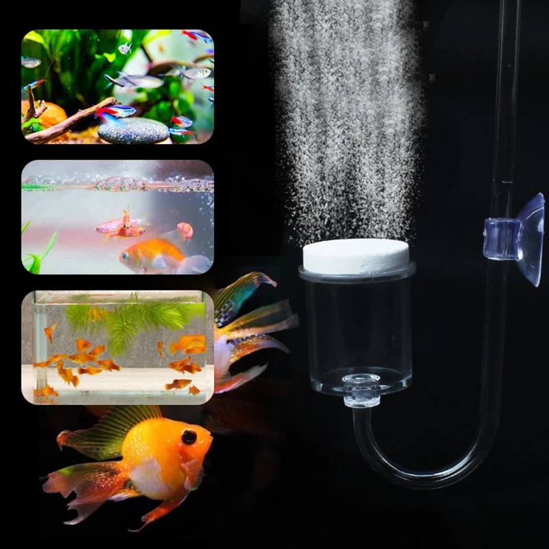 水族館用CO2ディフューザー,日曜大工のガラスタンク,バブル - Planted Aquarium Media のレビューと価格