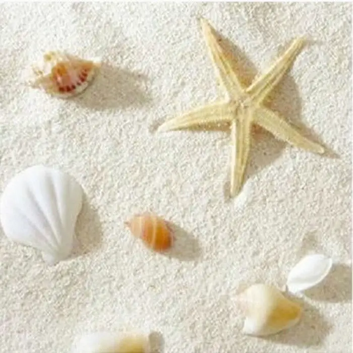 ネイチャーレ フィリピン産サンドコーラル造園用ホワイトシェル - Aquarium Sand White のレビューと価格