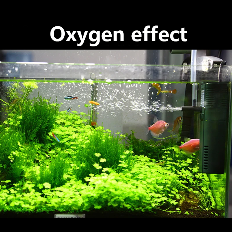 Sunsun-ミニナノ内部酸素ポンプ,111b,311b,6 - Planted Aquarium Products のレビューと価格