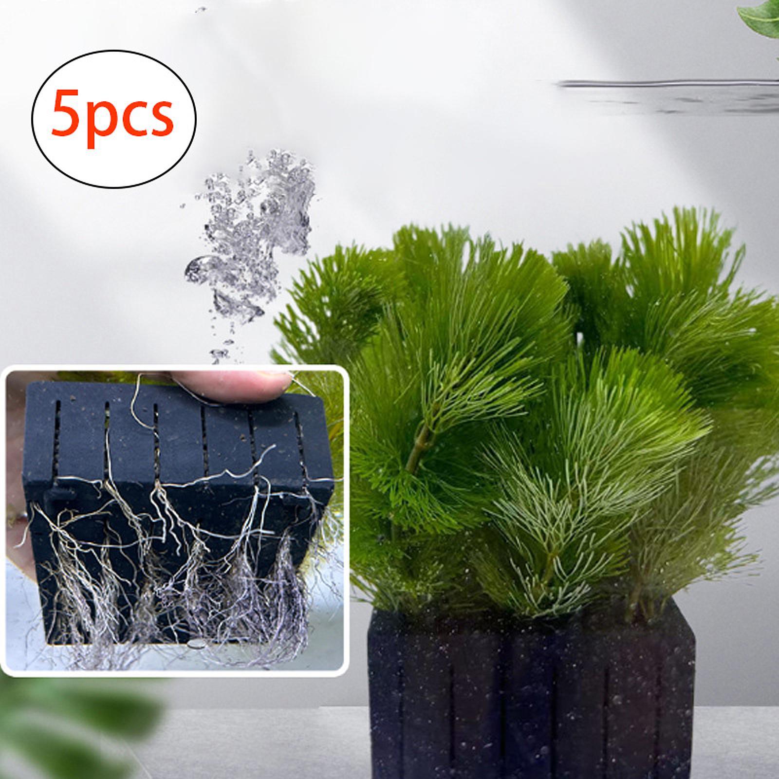 水槽用植物バスケット PPプラスチック 水耕栽培ホルダー 水 - Planted Aquarium Mini のレビューと価格